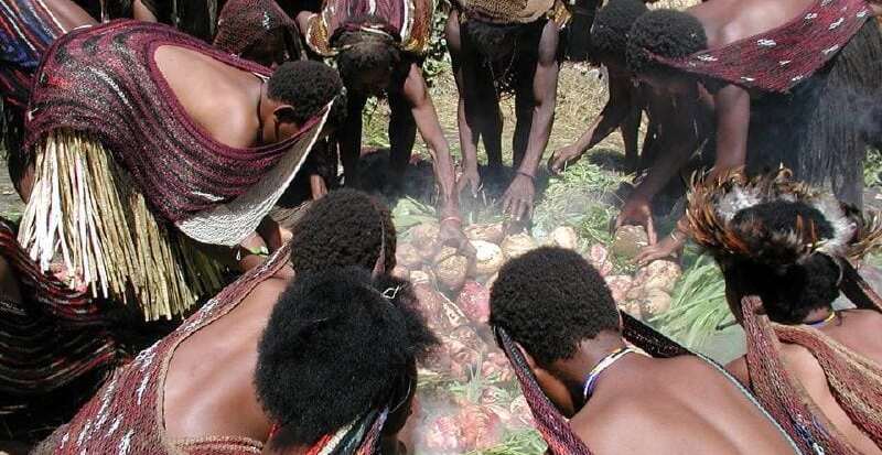 Barapen Tradisi Natal Unik Papua